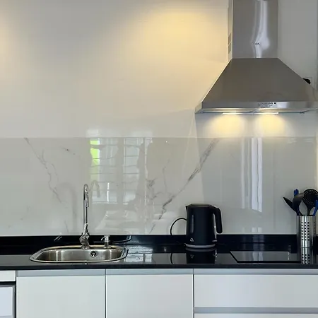 公寓 Reina Centro *